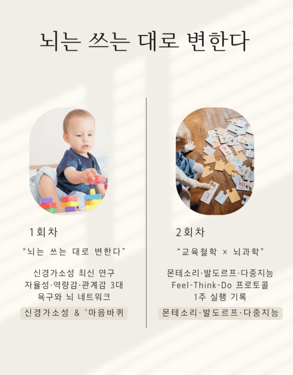전뇌발달 밀도 있게 공부하자 : 6월 2일~5일 모집 - 이미지 5